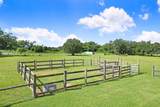 13221 Tom Gallagher Road - Photo 51