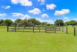 13221 Tom Gallagher Road - Photo 70