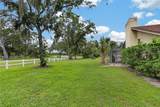 2814 Hammock Drive - Photo 67