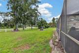 2814 Hammock Drive - Photo 69
