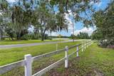 2814 Hammock Drive - Photo 72