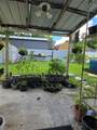 14926 Laurie Lane - Photo 49