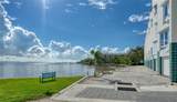4950 Bayshore Boulevard - Photo 7
