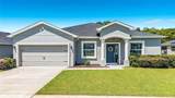 1069 Sandpiper Loop - Photo 5