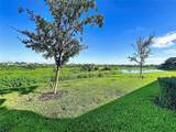 32196 Cannon Rush Drive - Photo 20