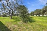 12919 Willow Grove Drive - Photo 59