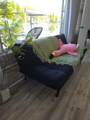 10861 Clara Lane - Photo 16