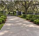 26307 Mountain Lake Road - Photo 8