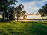 14808 Lake Magdalene Circle - Photo 9