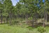 30805 Satinleaf Run - Photo 54