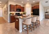 5005 White Chicory Drive - Photo 10