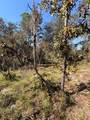 0 Cypress Street - Photo 2