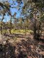 0 Cypress Street - Photo 6
