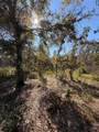 0 Cypress Street - Photo 7