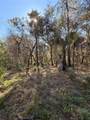 0 Cypress Street - Photo 8