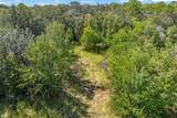 5031 Louise Point - Photo 4