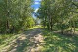 5031 Louise Point - Photo 9