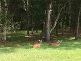 3490 Tealwood Circle - Photo 42