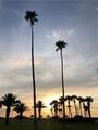 1460 Gulf Boulevard - Photo 22