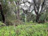 7419 Buck Hope Road - Photo 3