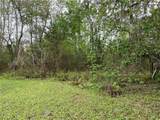 7419 Buck Hope Road - Photo 4