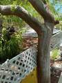 563 Coconut Avenue - Photo 4