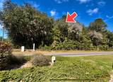 9719 Deltona Boulevard - Photo 9