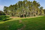 36750 Us Highway 19 - Photo 4