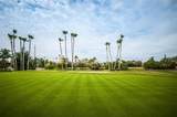 6322 Palma Del Mar Boulevard - Photo 45