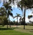 6322 Palma Del Mar Boulevard - Photo 3