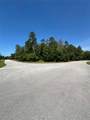 13723 Gopher Pond Court - Photo 10