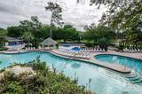 36750 Us 19 - Photo 47