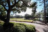 36750 Us 19 - Photo 53