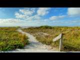 1430 Gulf Boulevard - Photo 34