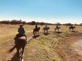 281 Foal Drive - Photo 18
