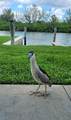 18399 Gulf Blvd - Photo 30