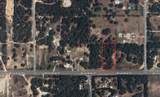 4829 Cardinal Street - Photo 8