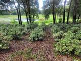  Minshew Road - Photo 4