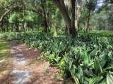  Minshew Road - Photo 5