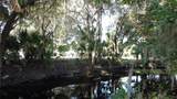 2315 Hontoon Road - Photo 8