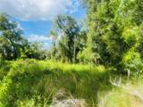 1215 Arredondo Grant Road - Photo 6