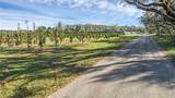 00 Mcbride Road - Photo 6
