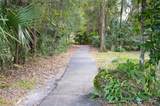 235 Pine Cone Trail - Photo 44