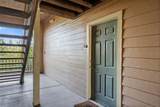 1401 Palmetto Avenue - Photo 60