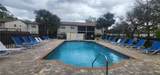411 Banana Cay Drive - Photo 13