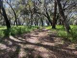 00 Shaw Lake Road - Photo 9
