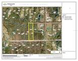 4119 Quail Nest Lane - Photo 1