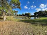 195 Lake Molly Avenue - Photo 4