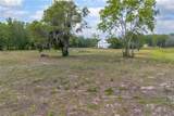  Lake Pearl Drive - Photo 15
