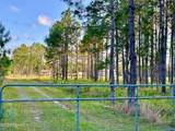 201 Wasick Lane - Photo 1